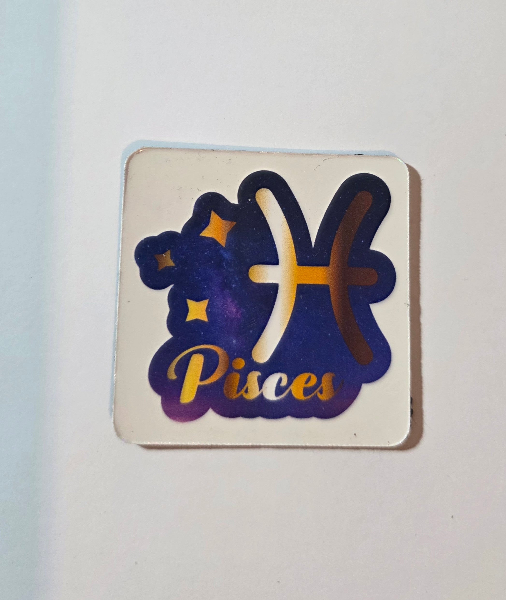 Zodiac Fridge Magnets