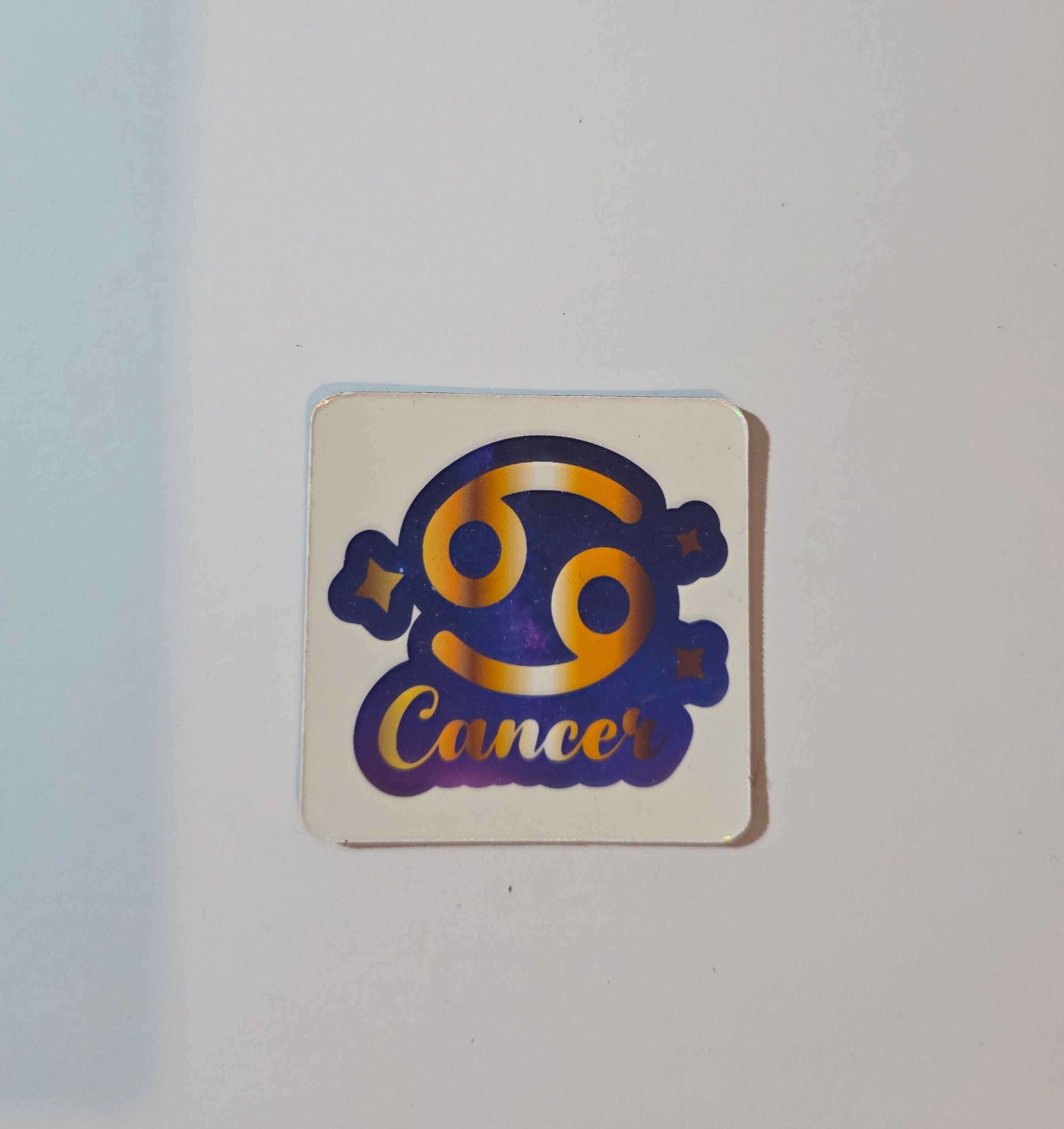 Zodiac Fridge Magnets