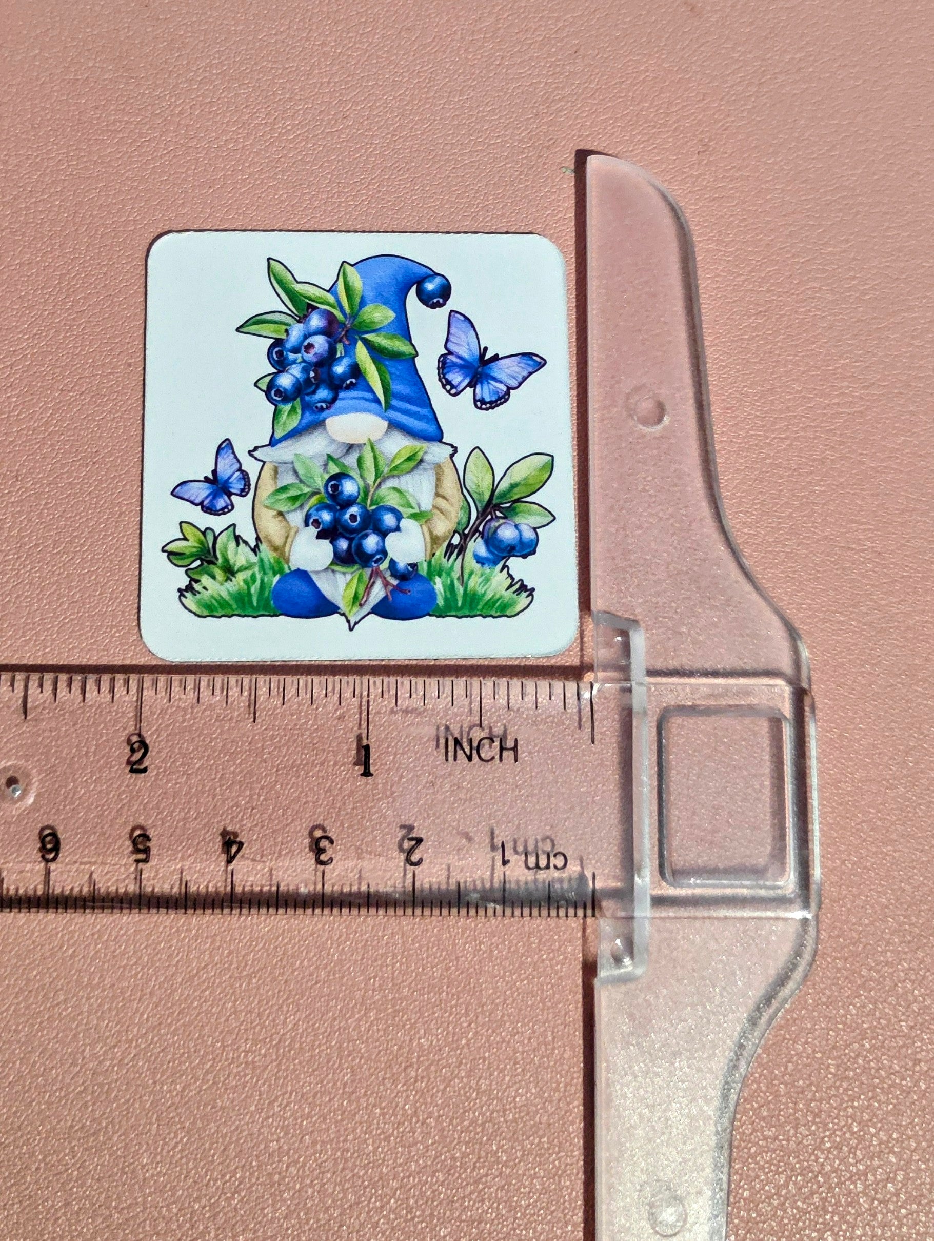 Blueberries and Butterflies Gnome