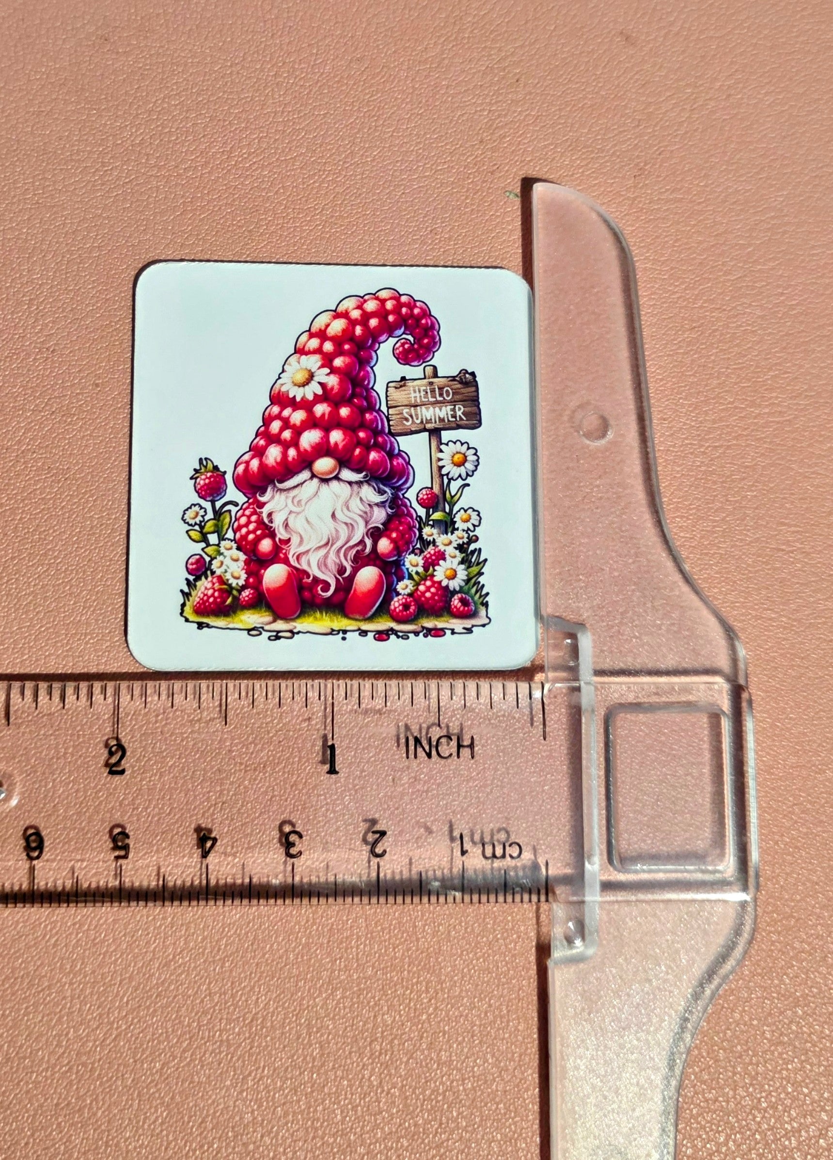 Hello summer gnome Raspberry