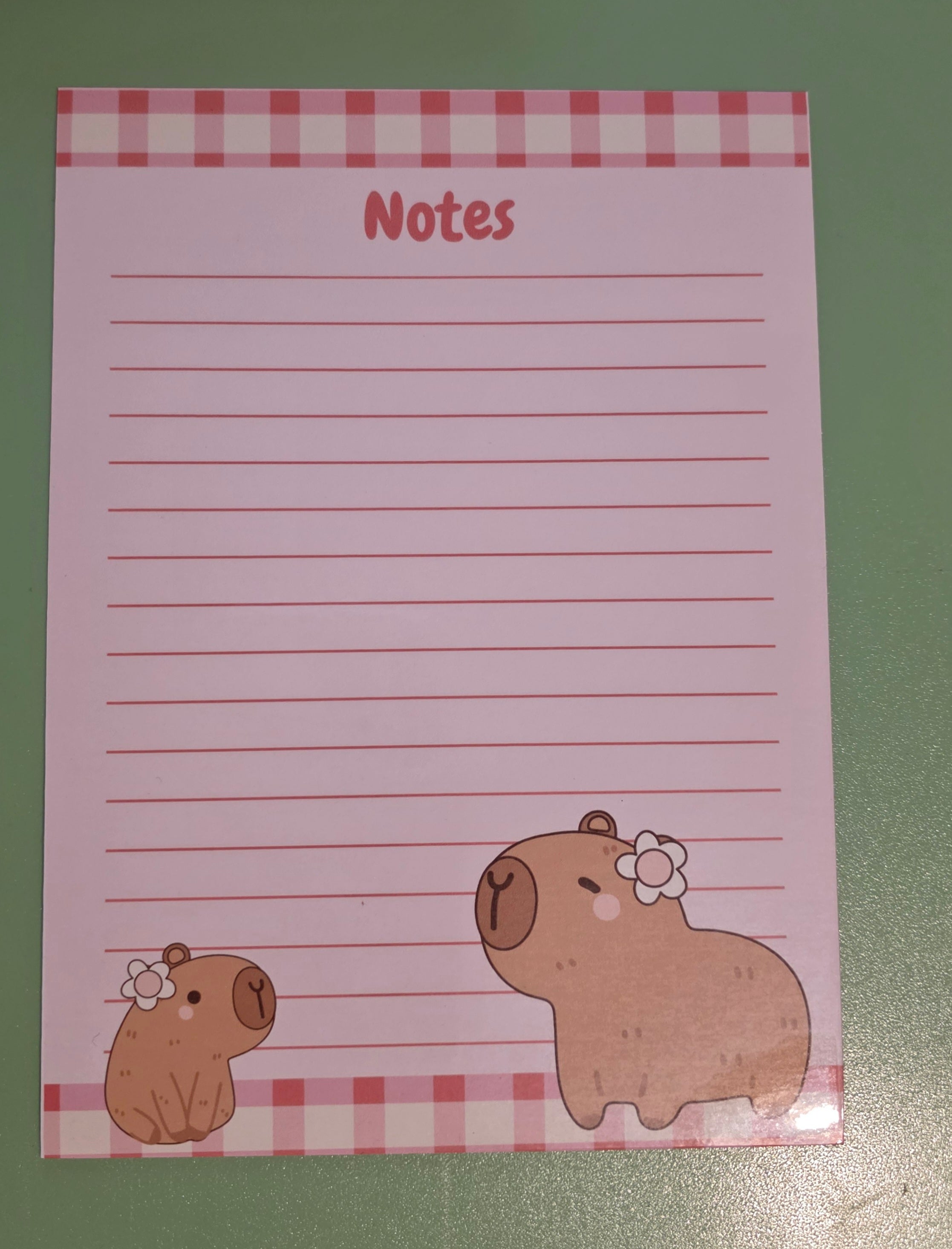 Capybara Magnetic Notes